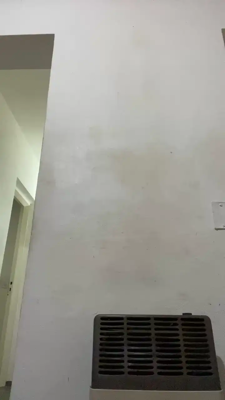 Noeelixxx – [Cam4] Suck Dick Beautiful New Video – 2025-03-21 15:45:32