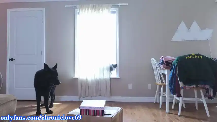 Chroniclove – [Chaturbate] Rubbing Pussy Naked Fantastic Boobs – 2025-03-10 02:03:38